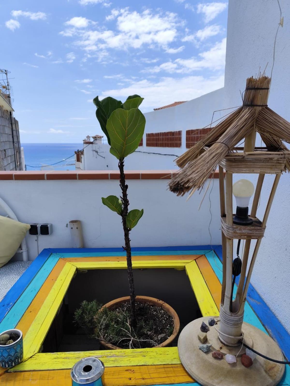 Готель Banana Surf House Лос-Крістіанос Екстер'єр фото